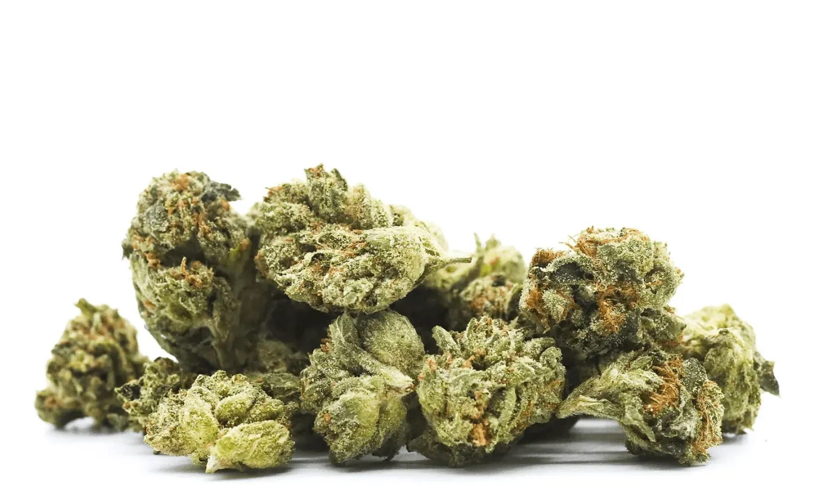 Mary Pot'ins